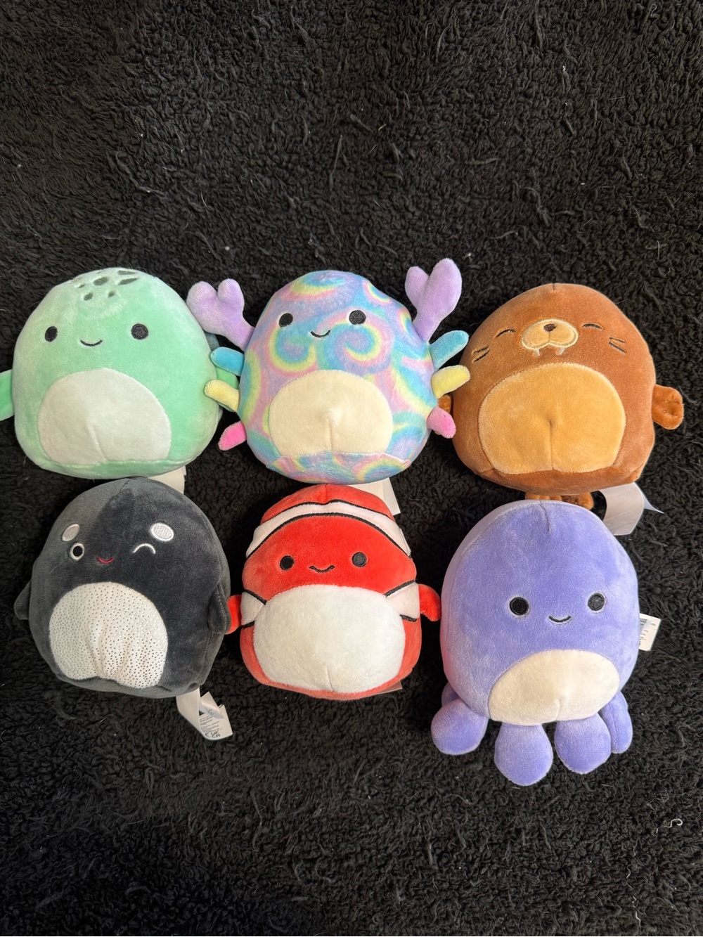 Assorted  Squishmallows Sea Life Squad